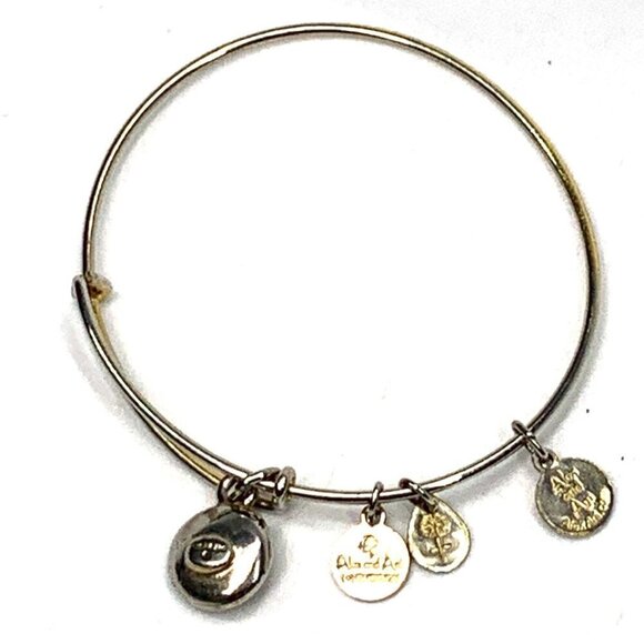 Alex and Ani February Amethyst Birthstone Charm Bracelet Silver 2"- 3.5" - Picture 3 of 3